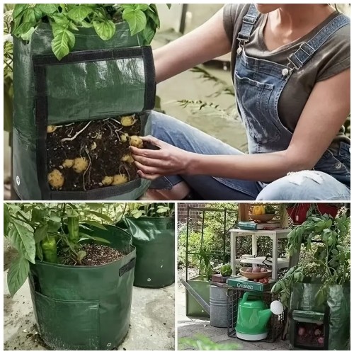 2개 클래식 감자 심기 가방, 재사용 가능, PE 소재, 관찰 구멍 및 배수 구멍 포함, UV 저항성, 실내외 사용 가능