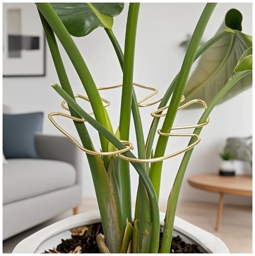 내구성 있는 몬스테라 지지대 & 지원 시스템 - 대나무 그립 키트가 포함된 금속 등반 식물 트레이너, 건강한 식물 성장에 이상적, 안전하고 장식적인 정원 지지대 | 등반 식물 지지대 | 금속 안정기