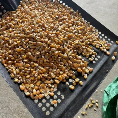 헤비듀티 500홀 메탈 가든 호 - 39인치 x 33인치 (15.35인치 x 12.99인치), 인체공학적 핸들 포함, 내구성 강한 스틸 구조로 효율적인 토양 풀기 및 식물 심기, 정원용 삽, 슬림한 금속 마감, 튼튼한 도구 디자인