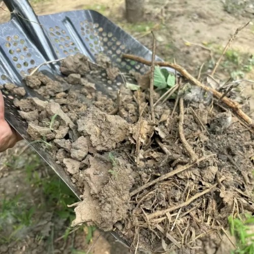 헤비듀티 500홀 메탈 가든 호 - 39인치 x 33인치 (15.35인치 x 12.99인치), 인체공학적 핸들 포함, 내구성 강한 스틸 구조로 효율적인 토양 풀기 및 식물 심기, 정원용 삽, 슬림한 금속 마감, 튼튼한 도구 디자인