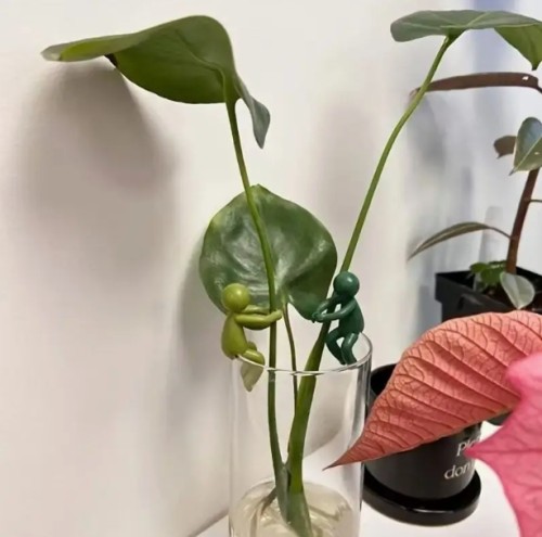 2개 세트 식물 재배 스탠드 (줄기 지지대 포함) - 내구성 있는 플라스틱 실내/외용 화분, 다육식물 및 허브용 - 안정적인 베이스가 있는 귀여운 정원 장식품, 식물 애호가를 위한 완벽한 선물, 홈 & 오피스 데코, 재미있는 디자인, 튼튼한 구조