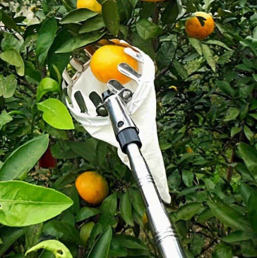 스테인리스 스틸 과일 수확기, 1개, 사과, 오렌지 및 배 수확을 위한 필수품 - 강력한 금속 가지치기 가위, 안전 기능 강화, 새해와 발렌타인 데이에 완벽한 선물
