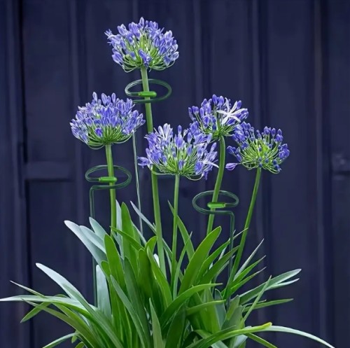 18인치 식물 지지대 팩 20개, 금속 단일 줄기 꽃 지지 링, 아마릴리스 난초 백합 장미 모란 토마토 글라디올리용 정원 식물 소품