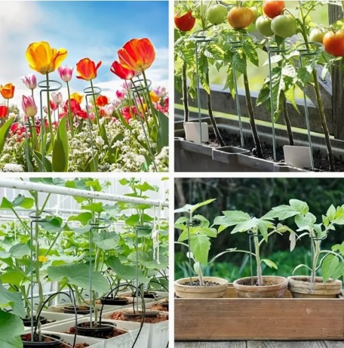 18인치 식물 지지대 팩 20개, 금속 단일 줄기 꽃 지지 링, 아마릴리스 난초 백합 장미 모란 토마토 글라디올리용 정원 식물 소품