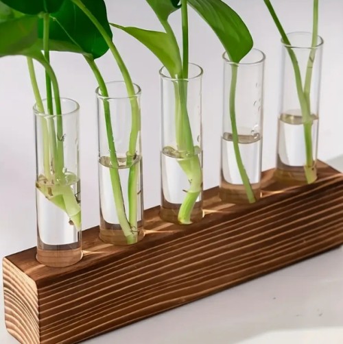 나무 프레임이 있는 식물 육종 스테이션, 식물용 유리 용기, 수경식물 꽃병, 여성과 식물 애호가를 위한 작은 생일 선물입니다.