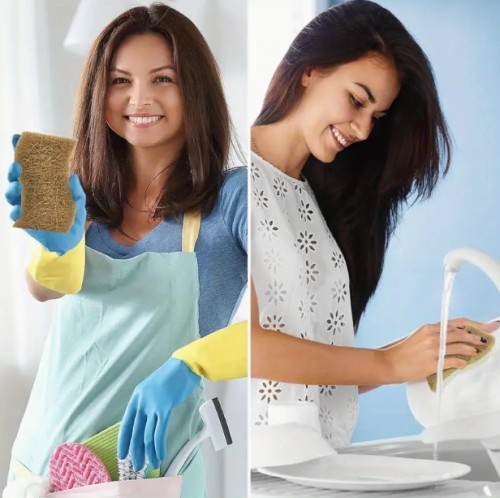 천연 주방 스펀지 - 생분해성 셀룰로오스 및 코코넛 스카버 스폰지, 12개입