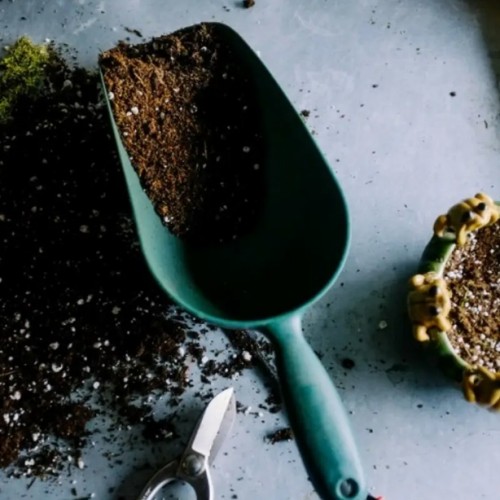 땅심 분갈이흙 10L 2개, 2025 year