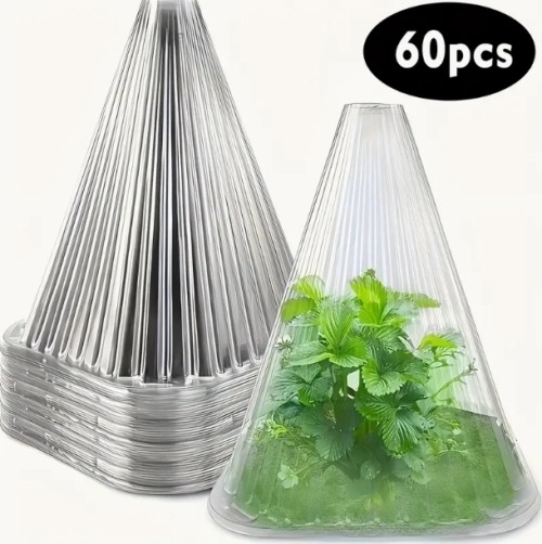 60개 대형 재사용 가능한 투명 플라스틱 식물 보호 콘, 수직 홈 포함, 빛 및 지지대, 동추 및 새장식 방어, 씨앗과 식물을 위한 통기성 메쉬 정원 커버, 식물용 서리 가드 | 내구적인 구조, 야외 식물 보호자