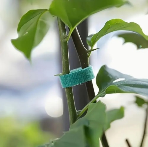 20개 재사용 가능한 식물 지지 스트랩 - 튼튼한 나일론/폴리에스터 정원 스테이크 조절 가능 클립, 100.08cm 토마토 및 덩굴식물용 그린 플랜트 타이, 날씨에 강하고 내구성 있는 야외 사용, 깔끔하게 감은 롤, 강력한 그립 구조