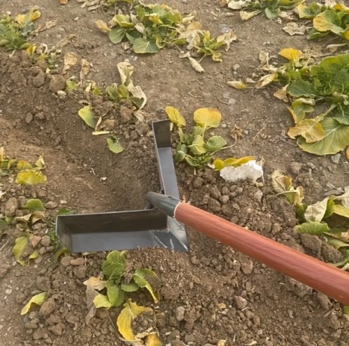 삼각형 손잡이가 있는 강력한 금속 정원 호 - 잡초 제거, 토양 풀어주기 및 땅 파기에 적합 - 비료 및 토양 뒤집기에 적합한 내구성 있는 농업 도구 (봉은 포함되지 않음)