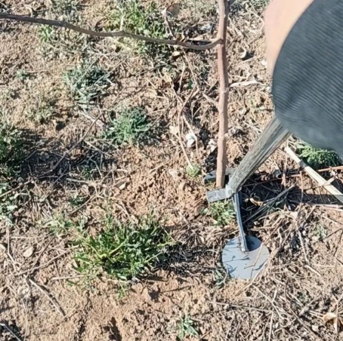 식물, 소형 나무 뿌리, 옥수수, 고추, 카사바를 위한 잡초 및 뿌리 제거 도구 - 정밀한 힘으로 단단한 뿌리를 손쉽게 제거하고, 통합된 손잡이로 농업 효율성을 향상합니다.