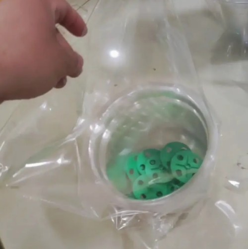 20개 세트 투명 플라스틱 식물 성장 커버 그린 뚜껑 - 가볍고 실내/실외용 발아 보호 돔, 정원 및 발코니 가드닝